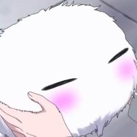 Yopii