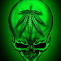 guillermo_darksite