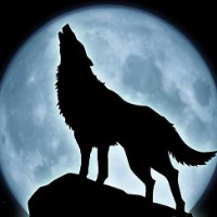 wolfelio