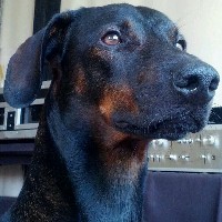 zEsAr