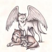 Nemrac555
