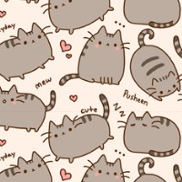 kittyta