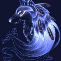 lobocelestial88lplp
