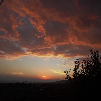 Ed_Antonio