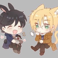 Anii