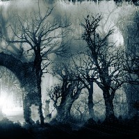 darkong