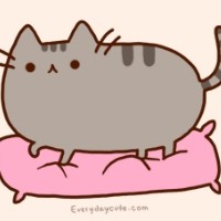 nayanaterra