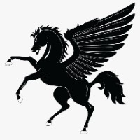 blackpegasus
