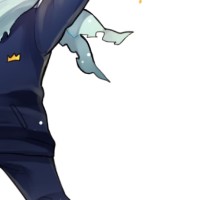 Raion