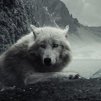 Jormungard