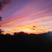 Carlos_Castillo