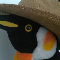 pinguinocongorro
