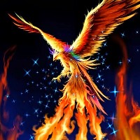 CHARLYFENIX