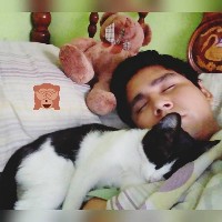 jaimito99066
